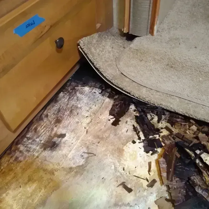 Best Wood Floor Water Damage Service in Noyack, NY